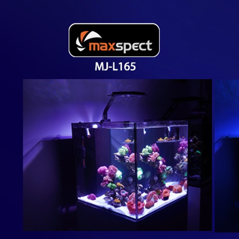 Maxspect MJ-L165 Regular lampa led