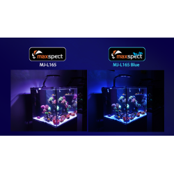 Maxspect MJ-L165 BLUE lampa led