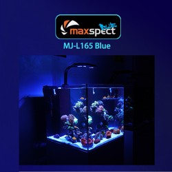 Maxspect MJ-L165 BLUE lampa...