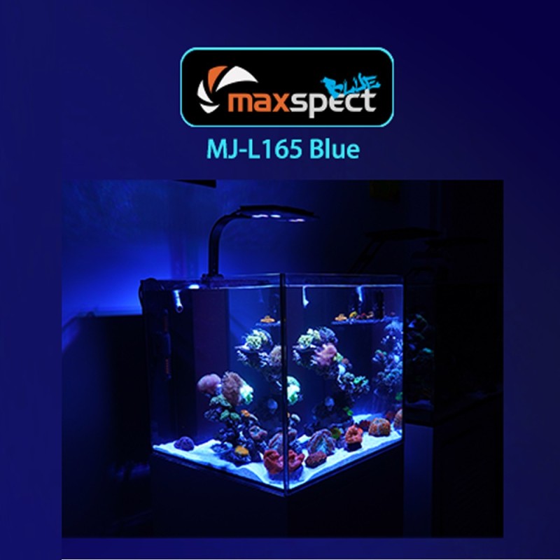 Maxspect MJ-L165 BLUE lampa led