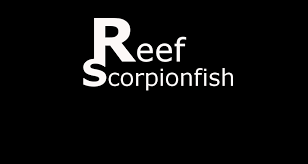 Reef Scorpionfish